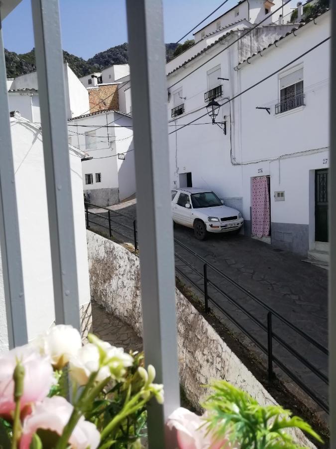La Casita De *